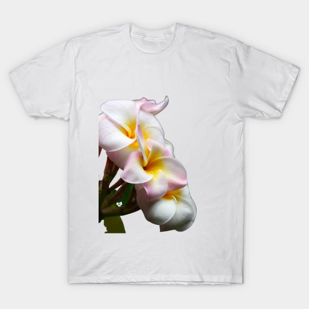 Plumeria Flower T-Shirt by Art by Eric William.s